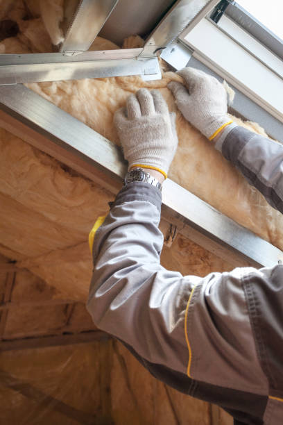 Best DIY Insulation Kits and Guidance in Mount Carmel, TN
