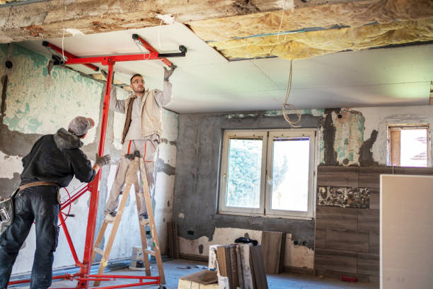 Best Specialized Insulation Services in Mount Carmel, TN