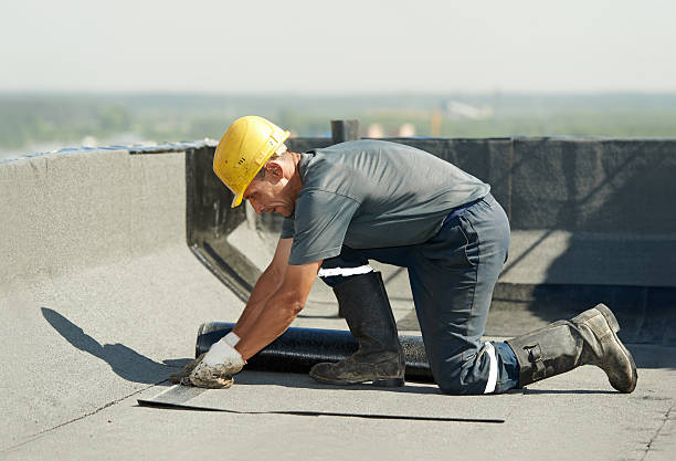 Best Eco-Friendly Insulation in Mount Carmel, TN