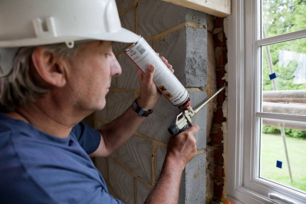 Best Cellulose Insulation in Mount Carmel, TN