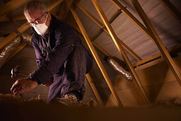 Best Geographic-Specific Insulation Services in Mount Carmel, TN